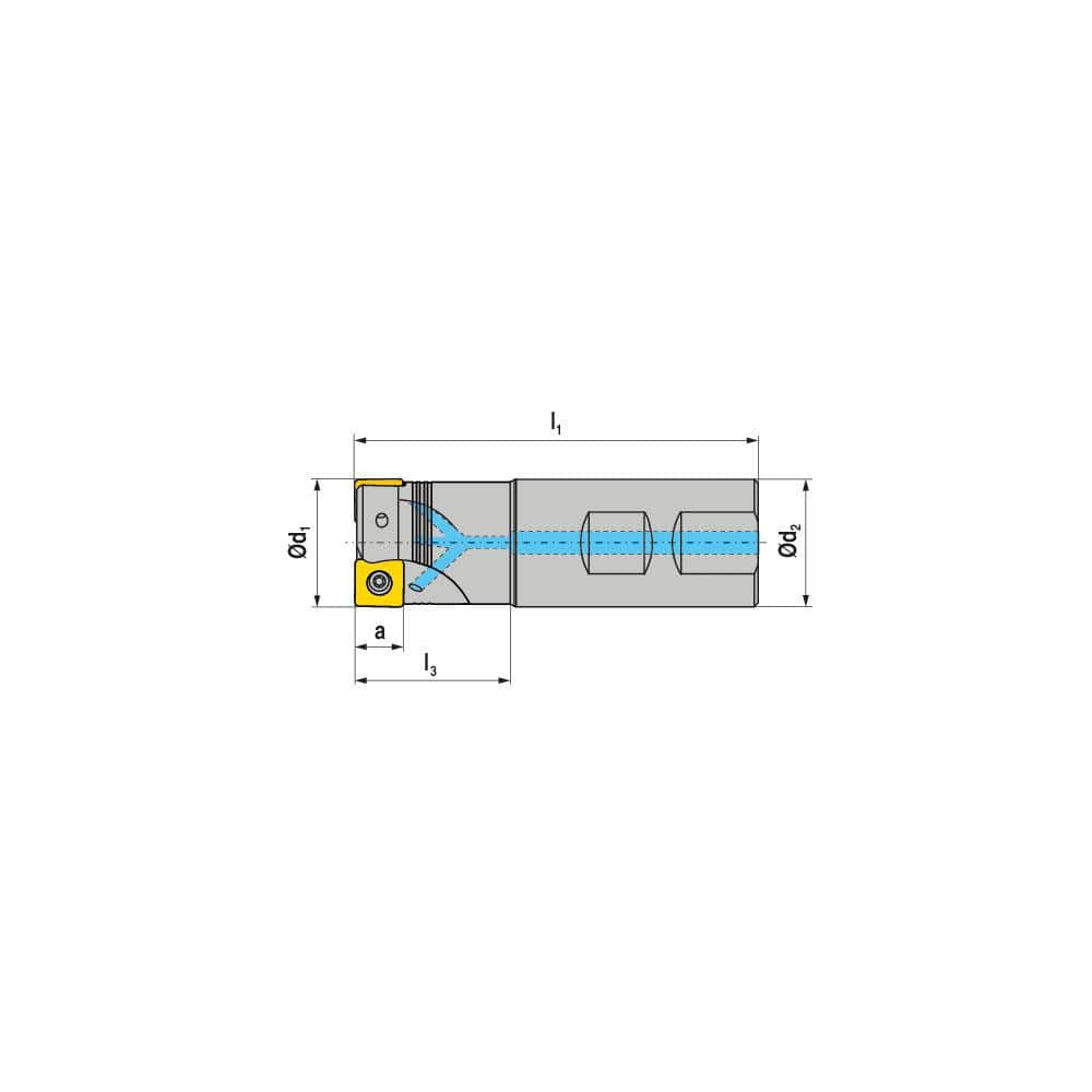 Indexable Square-Shoulder End Mill:  C491.100.R.0309B125EF,  1.0000'' Cut Dia,  0.2360'' Max Depth of Cut,  1.0000'' Shank Dia,  Weldon Flat Shank Uses  3,  Normal Pressure,