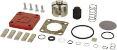 Tuthill - Repair Part Kit - For Use with Diaphragm Pumps - Makers Industrial Supply