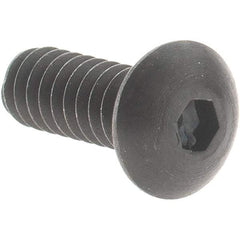 Value Collection - #4-40 UNC Hex Socket Drive, Button Screw - Alloy Steel, Black Oxide Finish, Fully Threaded, 5/16" OAL - Makers Industrial Supply