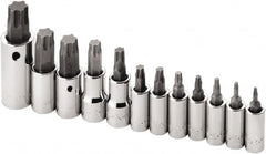 SK - 12 Piece 1/4, 3/8 & 1/2" Drive Torx Bit Socket Set - T10 to T60 Torx - Makers Industrial Supply