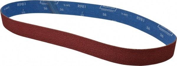 Norton - 2" Wide x 48" OAL, 36 Grit, Ceramic Abrasive Belt - Ceramic, Very Coarse, Coated, Y Weighted Cloth Backing, Series R981 - Makers Industrial Supply