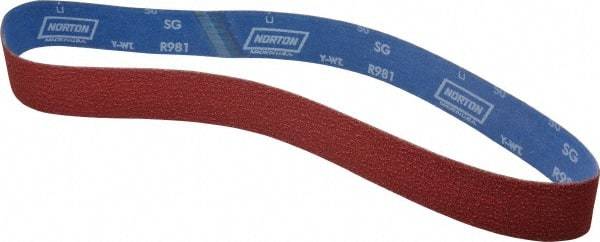 Norton - 2" Wide x 48" OAL, 50 Grit, Ceramic Abrasive Belt - Ceramic, Coarse, Coated, Y Weighted Cloth Backing, Series R981 - Makers Industrial Supply