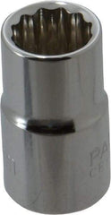 Paramount - 3/8" Drive, Standard Hand Socket - 12 Points, 1-3/16" OAL, Steel, Chrome Finish - Makers Industrial Supply