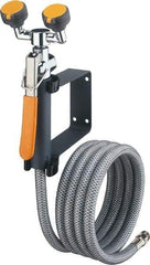 PRO-SAFE - Plumbed Drench Hoses Mount: Wall Style: Dual Spray Head - Makers Industrial Supply