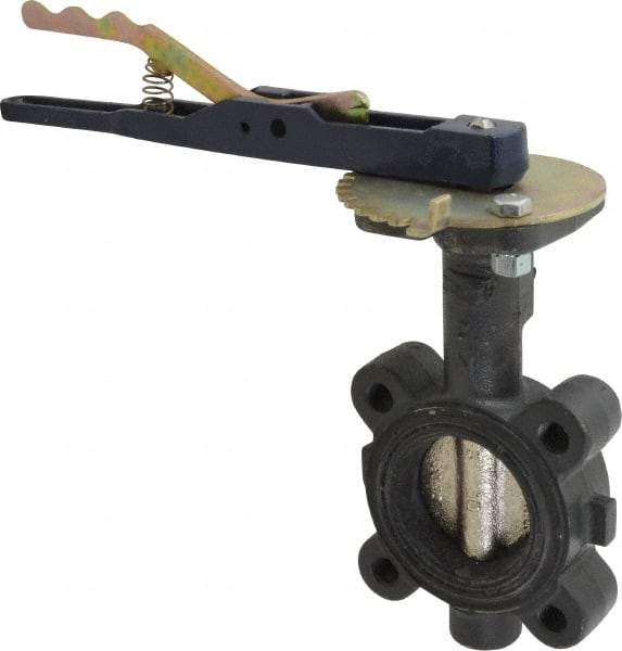 NIBCO - 2" Pipe, Lug Butterfly Valve - Lever Handle, Ductile Iron Body, EPDM Seat, 250 WOG, Ductile Iron Disc, Stainless Steel Stem - Makers Industrial Supply