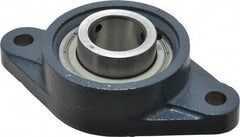 Value Collection - 6-1/8" OALBall Bearing Pillow Block - Cast Iron - Makers Industrial Supply