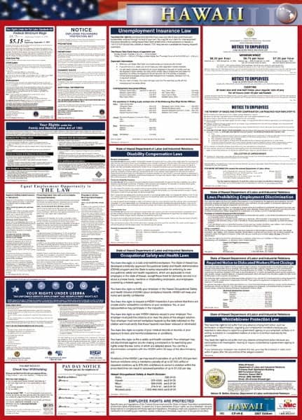 NMC - 24" Wide x 40" High Laminated Paper Labor Law Information Poster - Hawaii Jurisdiction, 0.03" Thick, English - Makers Industrial Supply