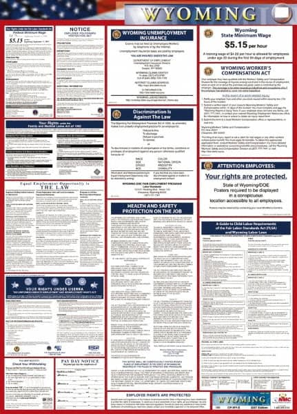 NMC - 24" Wide x 40" High Laminated Paper Labor Law Information Poster - Wyoming Jurisdiction, 0.03" Thick, English - Makers Industrial Supply