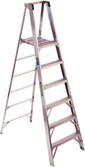 Werner - 6 Steps, 8' High, Type I Rating, Aluminum Platform Ladder - 250 Lb Capacity, 28-1/4" Base Width - Makers Industrial Supply