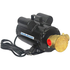 PRO-SOURCE - Flexible Impeller Pumps; Inlet Size: 1 (Inch); RPM: 1725.000 ; Horsepower: .75 ; Input Voltage: 115/230 ; Outlet Size: 1 (Inch); Maximum Flow Rate (GPM): 23.00 - Exact Industrial Supply