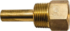 Winters - 4-1/2 Inch Overall Length, 3/4 Inch Thread, Brass Thermowell - 2-1/2 Inch Insertion Length - Makers Industrial Supply