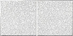 Armstrong World - 48" Long x 24" Wide, Wet-Formed Mineral Fiber Acoustic Ceiling Tile - ASTM E1264 Specification, White - Makers Industrial Supply