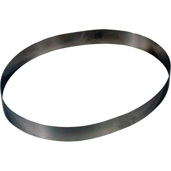 Zebra Skimmers - Oil Skimmer Accessories Type: Belt For Use With: Belt Oil Skimmer - Makers Industrial Supply