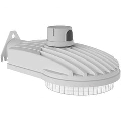 Hubbell Lighting - Parking Lot & Roadway Lights Fixture Type: Roadway Light Lamp Type: LED - Makers Industrial Supply