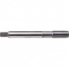 Emuge - Thread Forming STI Taps Thread Size (Inch): 1/4-28 Class of Fit: 2B - Makers Industrial Supply