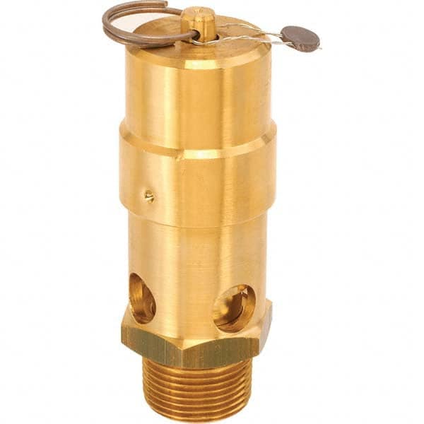 Control Devices - 1" Inlet, ASME Safety Valve - Makers Industrial Supply