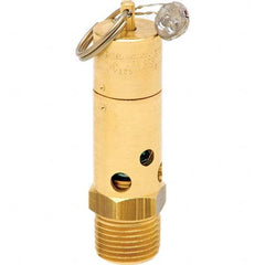 Control Devices - 1/2" Inlet, ASME Safety Valve - Makers Industrial Supply