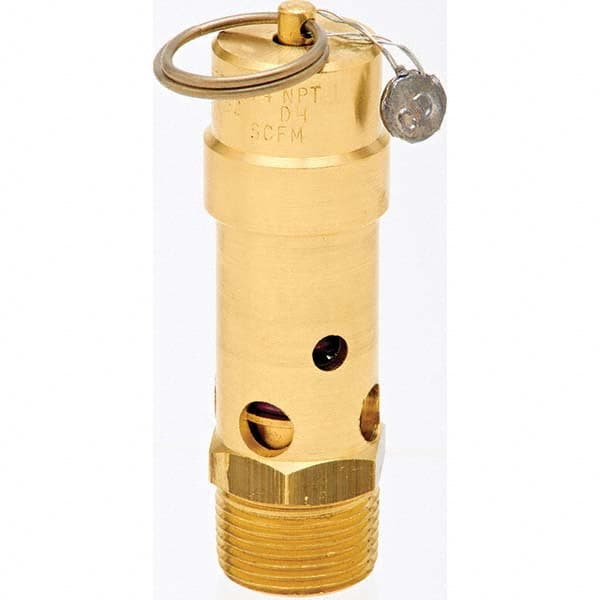 Control Devices - 3/4" Inlet, ASME Safety Valve - Makers Industrial Supply