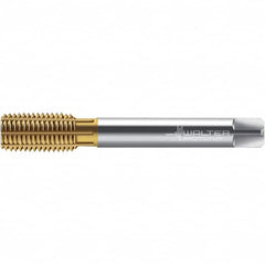 Walter-Prototyp - M14x1.50 DIN 2174 6HX 13.370 Thread Limit Semi-Bottoming Thread Forming Tap - Powdered Metal High Speed Steel, TiN Finish, 100mm OAL, 15mm Thread Length, Right Hand Thread, Series TC420 - Exact Industrial Supply