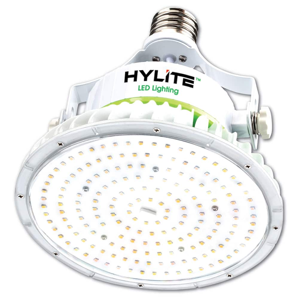 Hylite LED - Lamps & Light Bulbs Lamp Technology: LED Lamps Style: Commercial/Industrial - Makers Industrial Supply