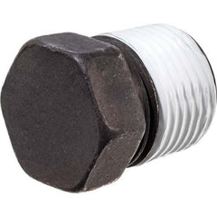 USA Sealing - Black Pipe Fittings Type: Hex Plug Fitting Size: 1 (Inch) - Makers Industrial Supply