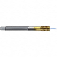 Guhring - 5/8-11 UNC 2BX H11/H12 Thread Limit Bottoming Thread Forming Tap - High Speed Steel, TiN Finish, 4.331" OAL, Right Hand Thread, Series 4383 - Exact Industrial Supply