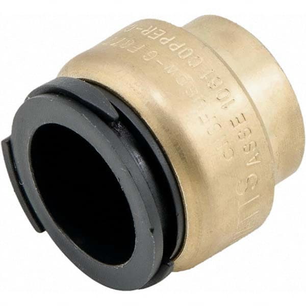 Watts - Metal Push-To-Connect Tube Fittings Type: End Stop Tube Outside Diameter (Inch): 0.75 - Makers Industrial Supply