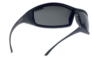 SOLIS, Polarized Grey, Shiny BLK Fr Polarized Grey ASShiny Black - Makers Industrial Supply