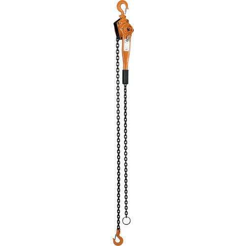 Economy Lever Hoist 3K Capacity 10 Ft - Exact Industrial Supply