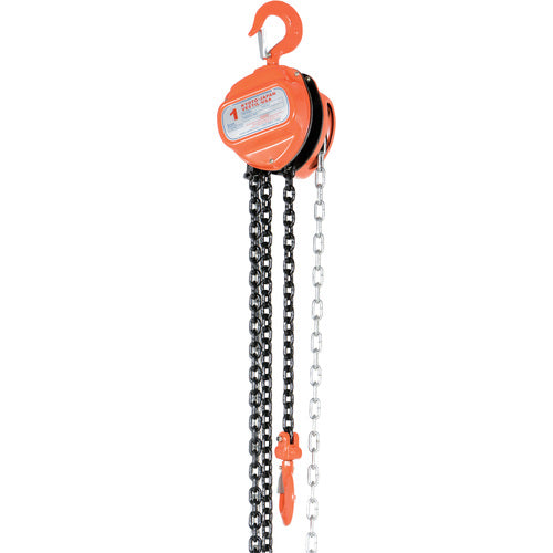 Manual Chain Hoist 2K Capacity 20 Ft - Exact Industrial Supply