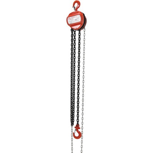 Manual Chain Hoist 3K Capacity 10 Ft - Exact Industrial Supply