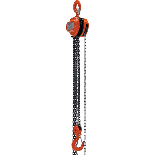 Manual Chain Hoist 4K Capacity 10 Ft - Exact Industrial Supply