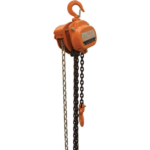 Professional Chain Hoist 1K 15 Ft - Exact Industrial Supply