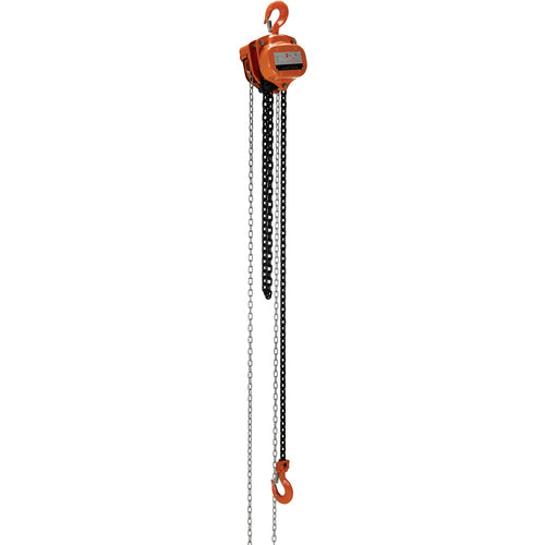 Professional Chain Hoist 4K 10 Ft - Exact Industrial Supply