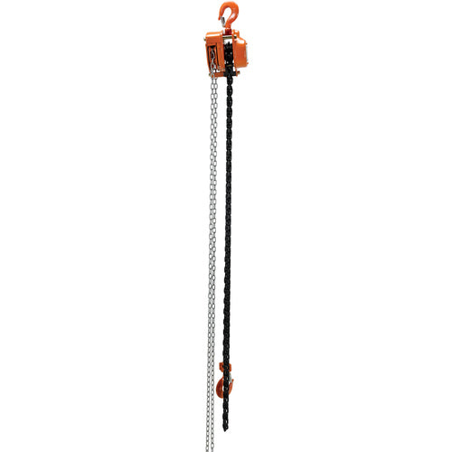 Professional Chain Hoist 4K 15 Ft - Exact Industrial Supply