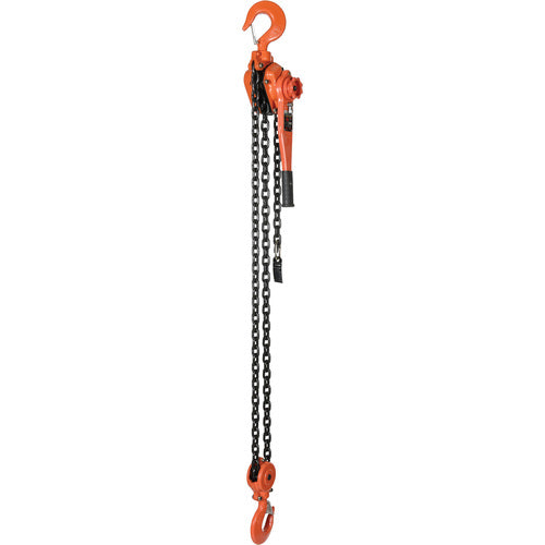 Professional Lever Hoist 5 Ft Lift 12K - Exact Industrial Supply