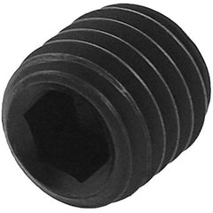 ‎SS1/4-250 1/4-28 X .250 SET SCREW