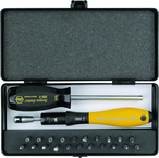 ESD TorqueVario-S Handle 15-80 in oz Micro Bit 24 Piece Set In Storage Box - Makers Industrial Supply